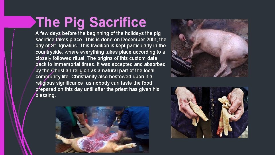 The Pig Sacrifice A few days before the beginning of the holidays the pig