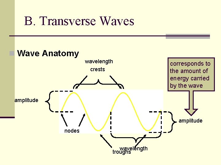 B. Transverse Waves n Wave Anatomy wavelength crests corresponds to the amount of energy