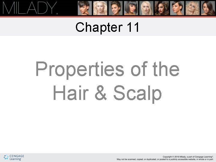 Chapter 11 Properties of the Hair & Scalp 