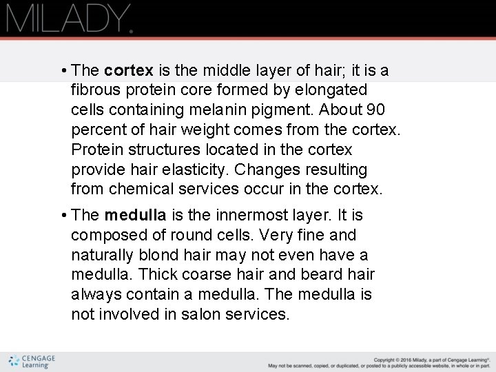  • The cortex is the middle layer of hair; it is a fibrous