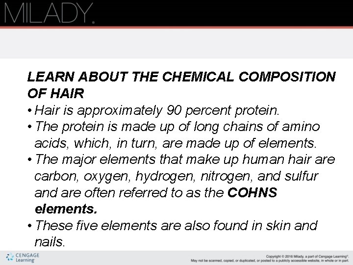 LEARN ABOUT THE CHEMICAL COMPOSITION OF HAIR • Hair is approximately 90 percent protein.