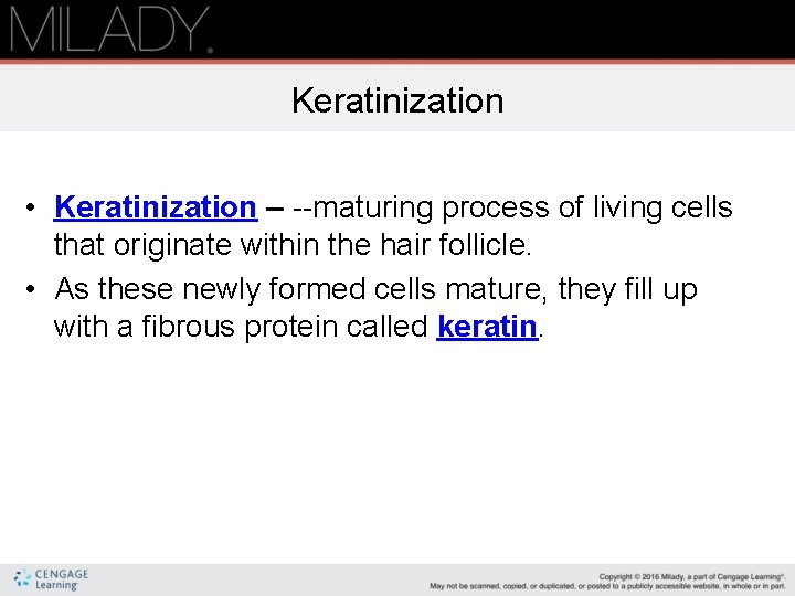 Keratinization • Keratinization – maturing process of living cells that originate within the hair