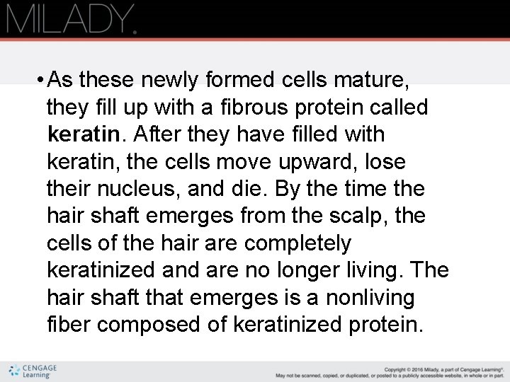  • As these newly formed cells mature, they fill up with a fibrous