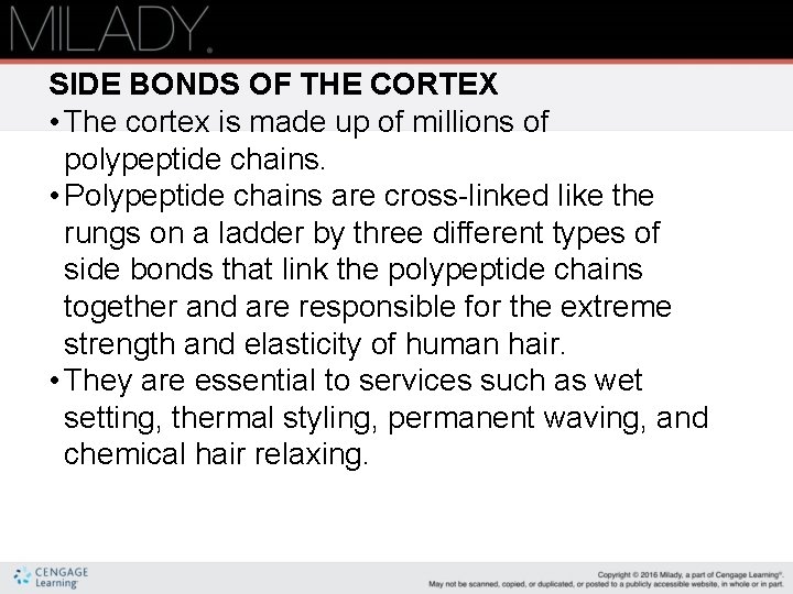 SIDE BONDS OF THE CORTEX • The cortex is made up of millions of