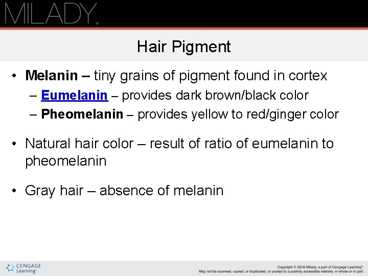 Hair Pigment • Melanin – tiny grains of pigment found in cortex – Eumelanin