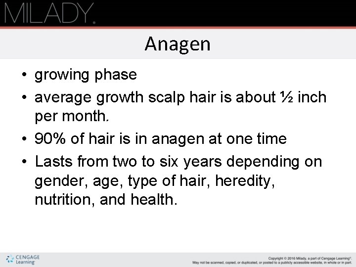 Anagen • growing phase • average growth scalp hair is about ½ inch per