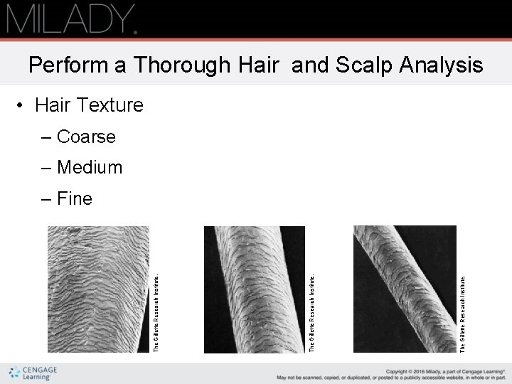 The Gillette Research Institute. Perform a Thorough Hair and Scalp Analysis • Hair Texture