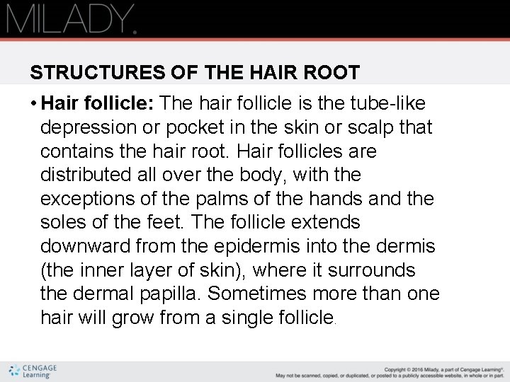 STRUCTURES OF THE HAIR ROOT • Hair follicle: The hair follicle is the tube