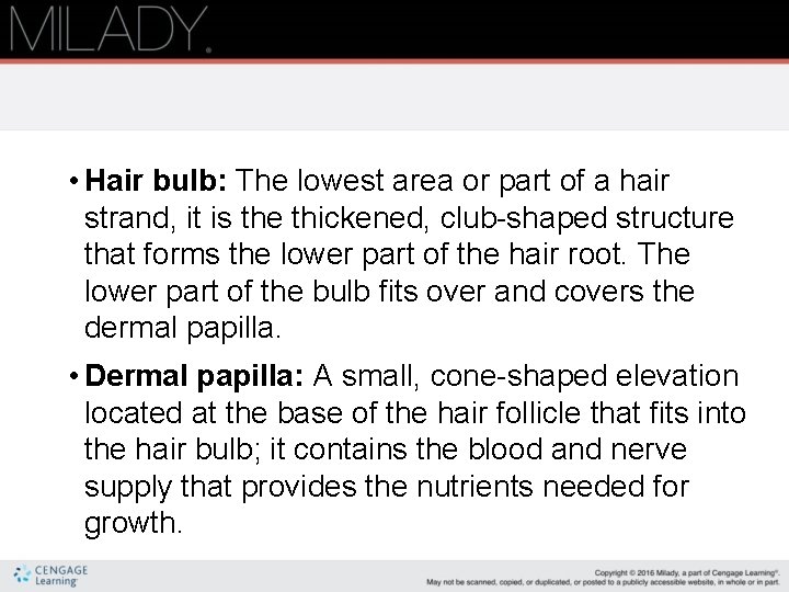  • Hair bulb: The lowest area or part of a hair strand, it