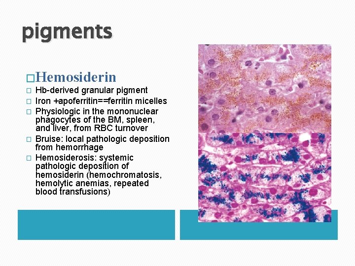 pigments �Hemosiderin � � � Hb-derived granular pigment Iron +apoferritin==ferritin micelles Physiologic in the