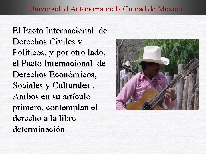 Universidad Autónoma de la Ciudad de México El Pacto Internacional de Derechos Civiles y