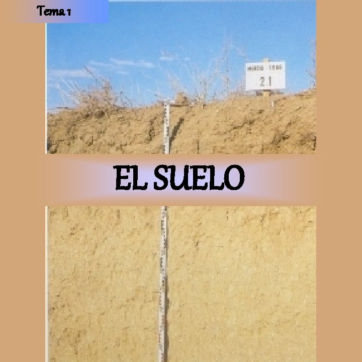 Tema 1 EL SUELO 