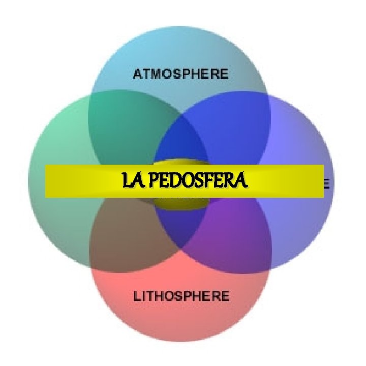 LA PEDOSFERA 