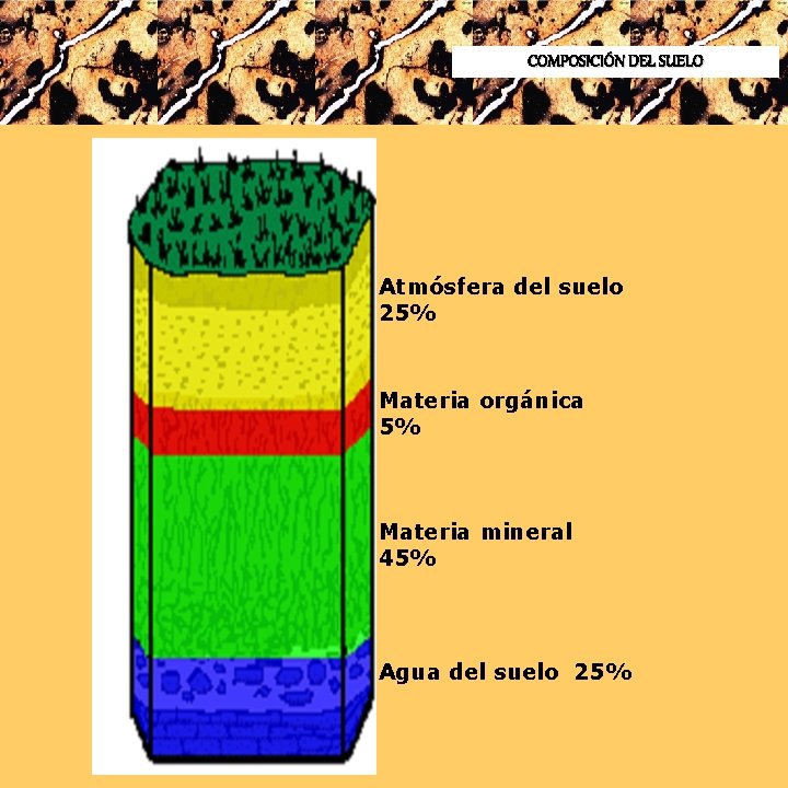 COMPOSICIÓN DEL SUELO Atmósfera del suelo 25% Materia orgánica 5% Materia mineral 45% Agua