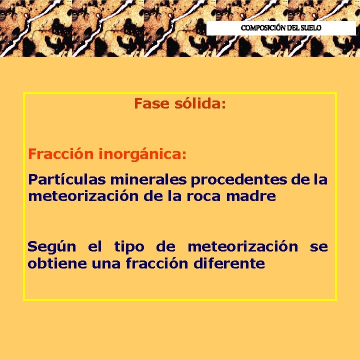 COMPOSICIÓN DEL SUELO Fase sólida: Fracción inorgánica: Partículas minerales procedentes de la meteorización de