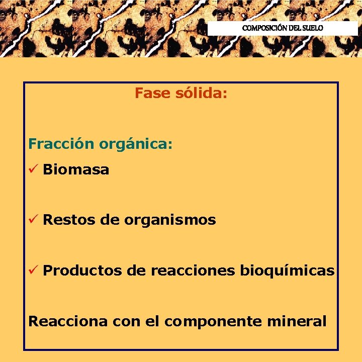 COMPOSICIÓN DEL SUELO Fase sólida: Fracción orgánica: ü Biomasa ü Restos de organismos ü