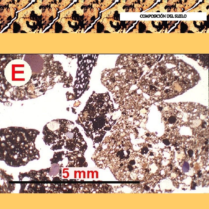 COMPOSICIÓN DEL SUELO 