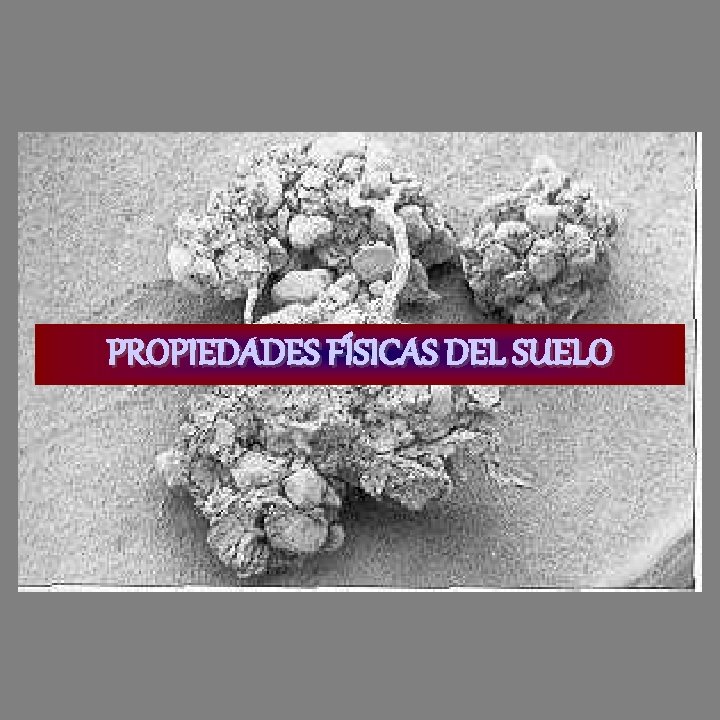 PROPIEDADES FÍSICAS DEL SUELO 