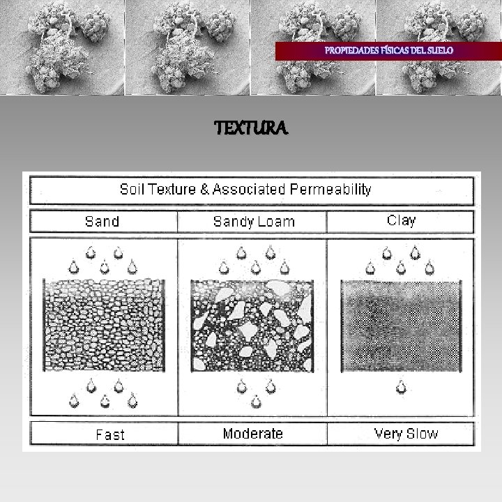 PROPIEDADES FÍSICAS DEL SUELO TEXTURA 