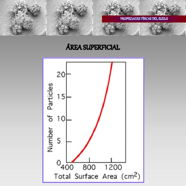 PROPIEDADES FÍSICAS DEL SUELO ÁREA SUPERFICIAL 