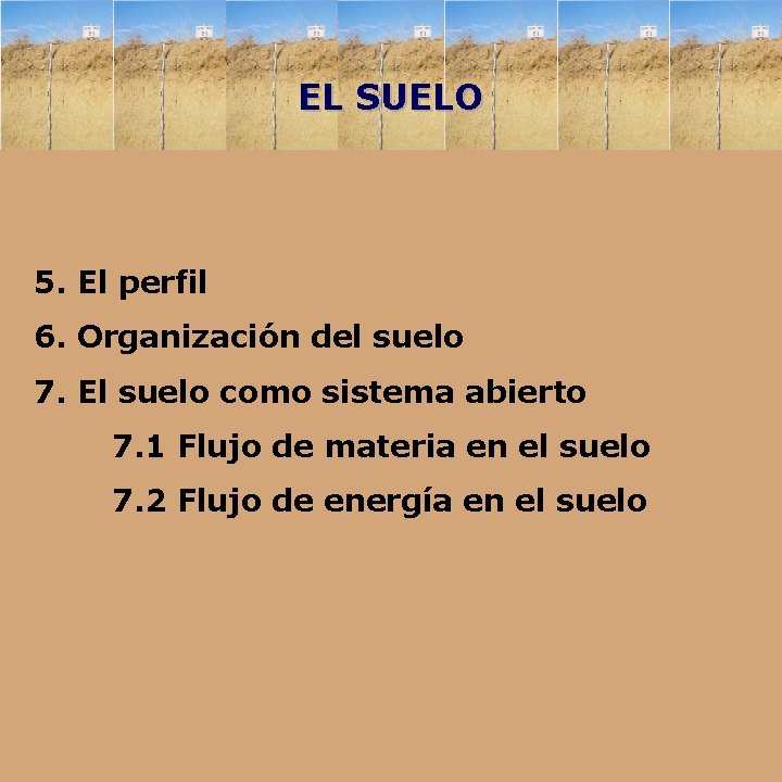 EL SUELO 5. El perfil 6. Organización del suelo 7. El suelo como sistema