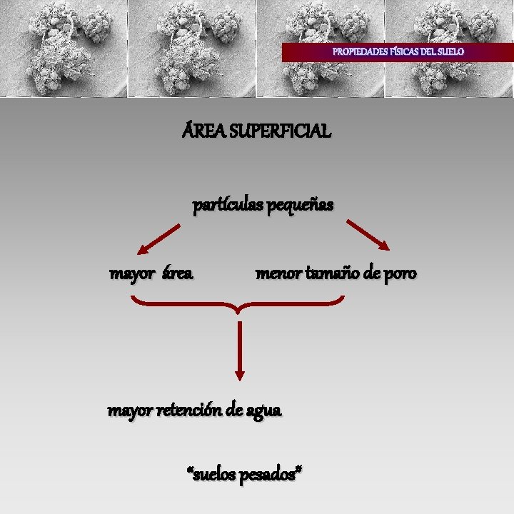 PROPIEDADES FÍSICAS DEL SUELO ÁREA SUPERFICIAL partículas pequeñas mayor área menor tamaño de poro