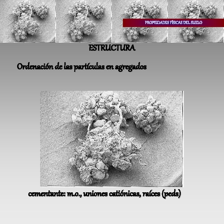 PROPIEDADES FÍSICAS DEL SUELO ESTRUCTURA Ordenación de las partículas en agregados cementante: m. o.