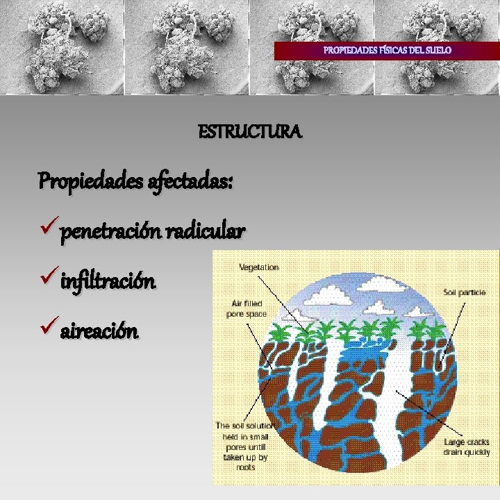 PROPIEDADES FÍSICAS DEL SUELO ESTRUCTURA Propiedades afectadas: üpenetración radicular üinfiltración üaireación 