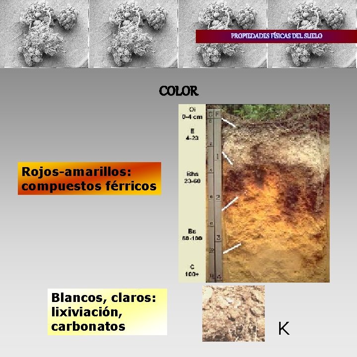 PROPIEDADES FÍSICAS DEL SUELO COLOR Rojos-amarillos: compuestos férricos Blancos, claros: lixiviación, carbonatos K 