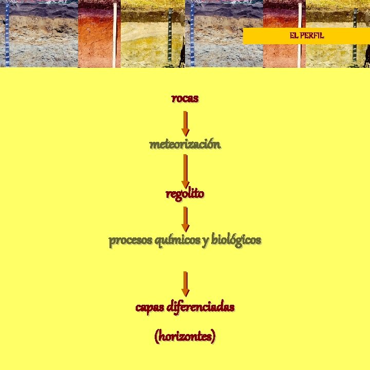 EL PERFIL rocas meteorización regolito procesos químicos y biológicos capas diferenciadas (horizontes) 