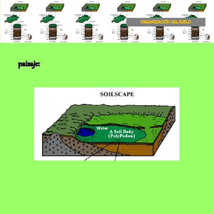 ORGANIZACIÓN DEL SUELO paisaje: 