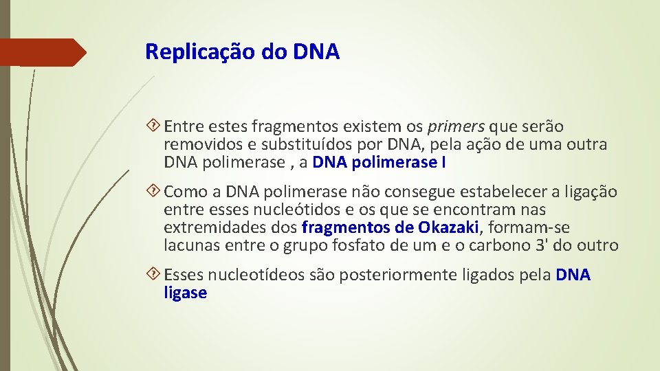 Replicação do DNA Entre estes fragmentos existem os primers que serão removidos e substituídos