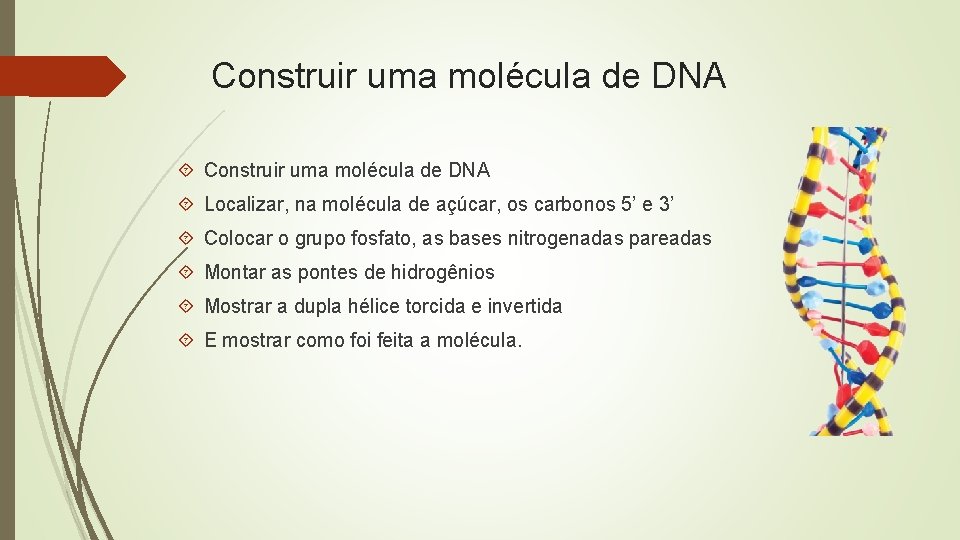 Construir uma molécula de DNA Localizar, na molécula de açúcar, os carbonos 5’ e