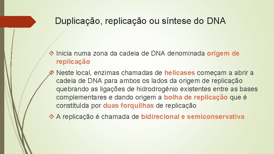 Duplicação, replicação ou síntese do DNA Inicia numa zona da cadeia de DNA denominada