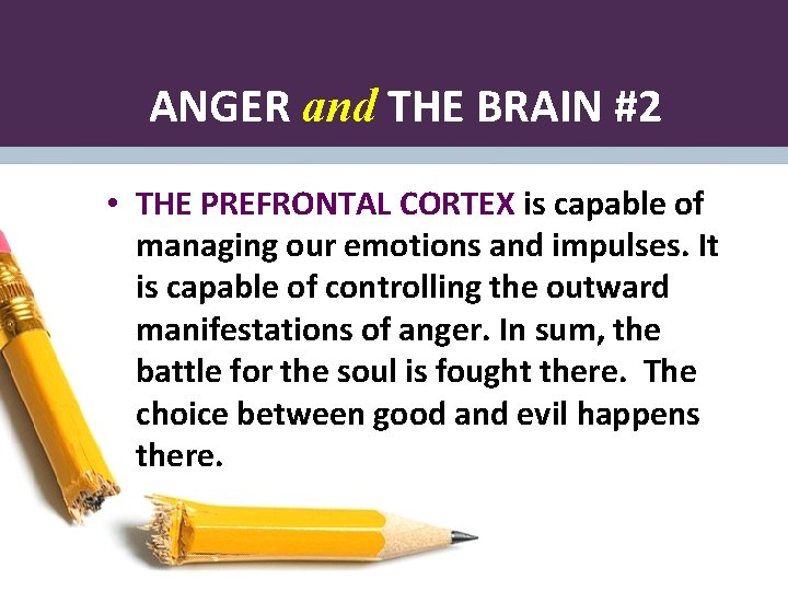 ANGER and THE BRAIN #2 • THE PREFRONTAL CORTEX is capable of managing our