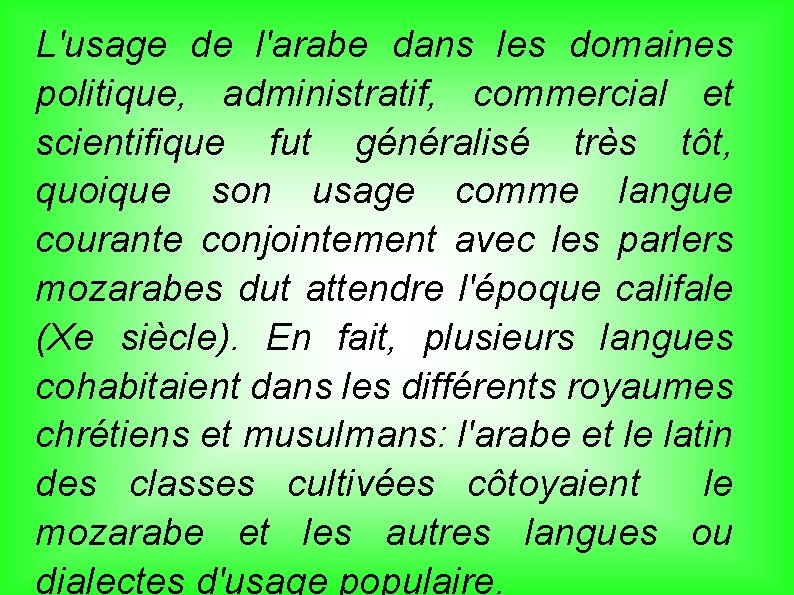 L'usage de l'arabe dans les domaines politique, administratif, commercial et scientifique fut généralisé très