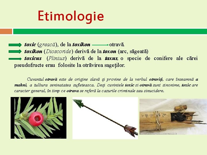 Etimologie toxic (greacă), de la toxikon otravă. toxikon (Dioscoride) derivă de la toxon (arc, Etimologie toxic (greacă), de la toxikon otravă. toxikon (Dioscoride) derivă de la toxon (arc,