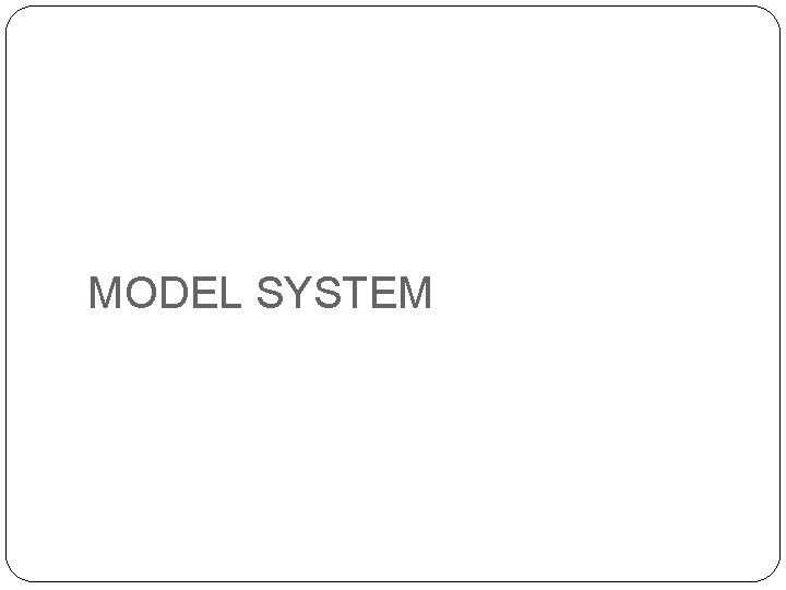 MODEL SYSTEM 