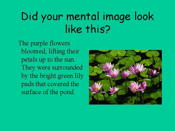 Did your mental image look like this? The purple flowers bloomed, lifting their petals