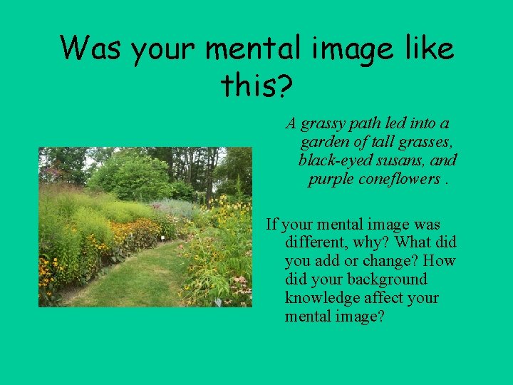 Was your mental image like this? A grassy path led into a garden of