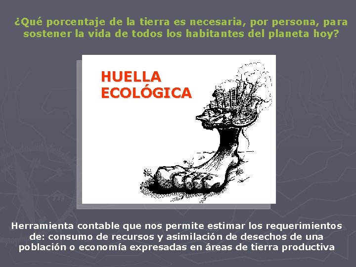 ¿Qué porcentaje de la tierra es necesaria, por persona, para sostener la vida de