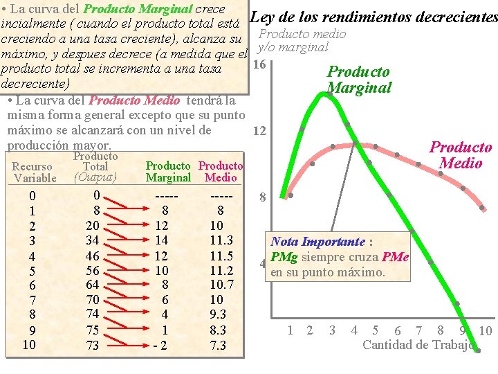 Tema 4 La demanda de trabajo 1 2