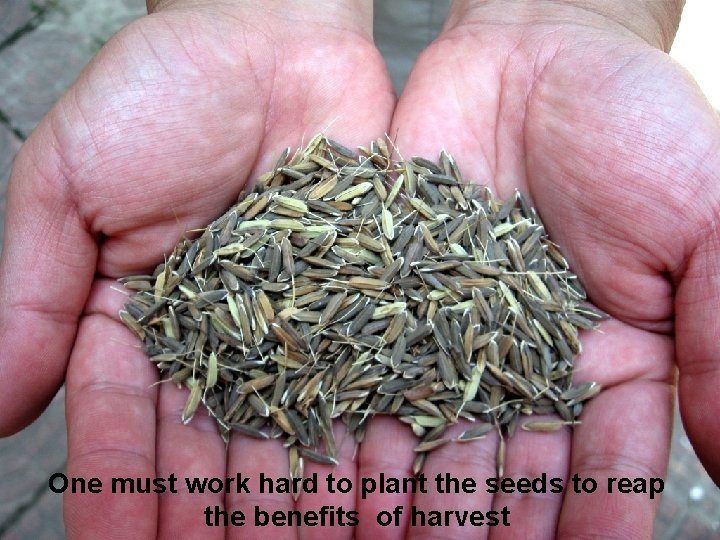 One must work hard to plant the seeds to reap www. studentloan. pe. ca