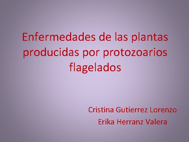 Enfermedades de las plantas producidas por protozoarios flagelados Cristina Gutierrez Lorenzo Erika Herranz Valera Enfermedades de las plantas producidas por protozoarios flagelados Cristina Gutierrez Lorenzo Erika Herranz Valera
