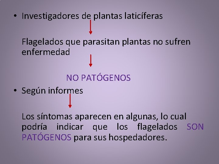 • Investigadores de plantas laticíferas Flagelados que parasitan plantas no sufren enfermedad NO • Investigadores de plantas laticíferas Flagelados que parasitan plantas no sufren enfermedad NO