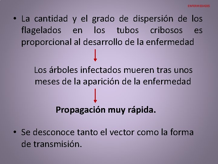 ENFERMEDADES • La cantidad y el grado de dispersión de los flagelados en los ENFERMEDADES • La cantidad y el grado de dispersión de los flagelados en los