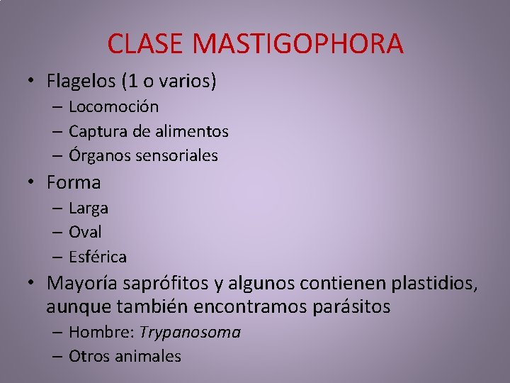 CLASE MASTIGOPHORA • Flagelos (1 o varios) – Locomoción – Captura de alimentos – CLASE MASTIGOPHORA • Flagelos (1 o varios) – Locomoción – Captura de alimentos –