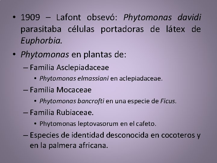 • 1909 – Lafont obsevó: Phytomonas davidi parasitaba células portadoras de látex de • 1909 – Lafont obsevó: Phytomonas davidi parasitaba células portadoras de látex de