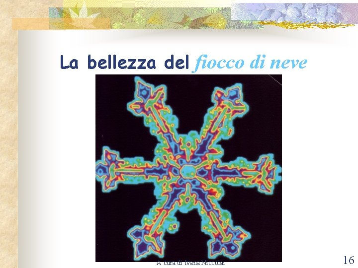 La bellezza del fiocco di neve A cura di Ivana Niccolai 16 