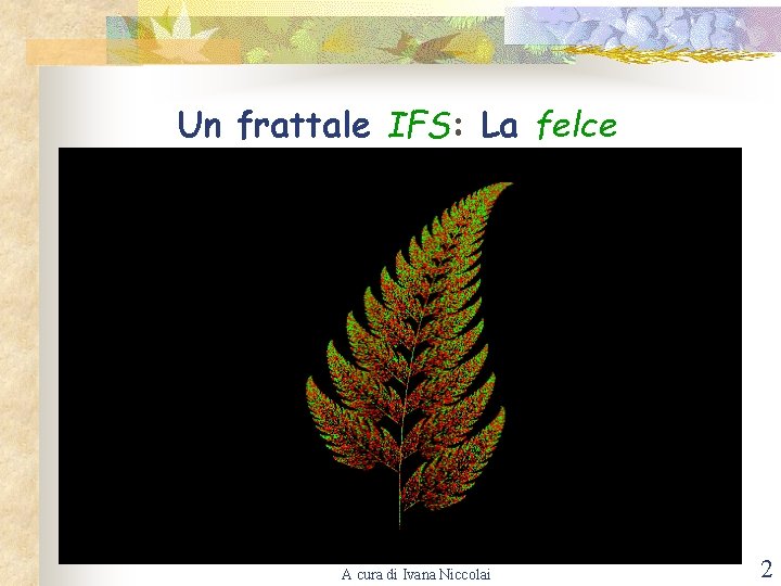 Un frattale IFS: La felce A cura di Ivana Niccolai 2 